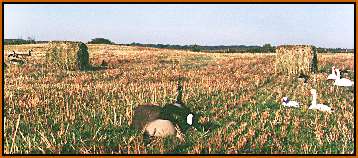 Round Bale Blinds