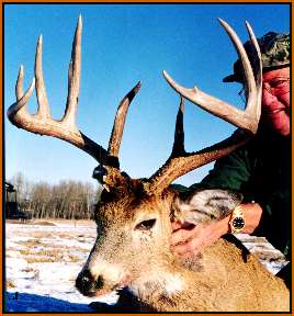 162 B&C 4X5 Whitetail