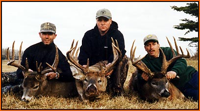 3 of 2001's best Whitetails