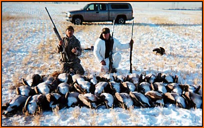 4 man limit of big Canada geese