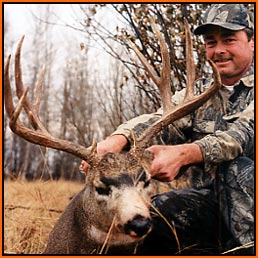 160 Class Mulie