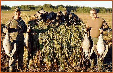 September limit of big Canada Geese