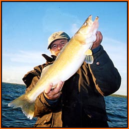 September Walleye 10lbs