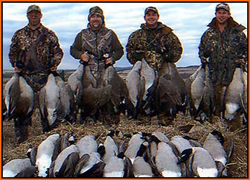 Hunt Canada Geese with Alberta Trophy Hunts