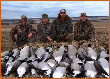 Hunt Canada Geese with Alberta Trophy Hunts
