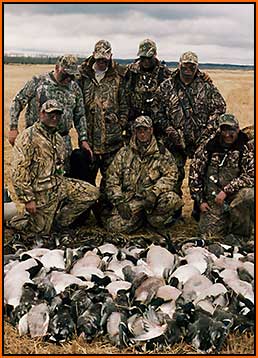 Hunt Mallards and Canada Geese with Alberta Trophy Hunts