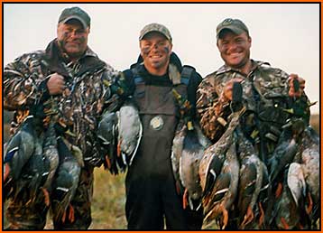 Mallard Shooting