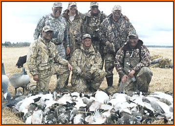 Tony Stalfa Group Mallards and Giant Canada Geese