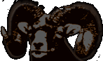 Alberta Trophy Hunts 2003