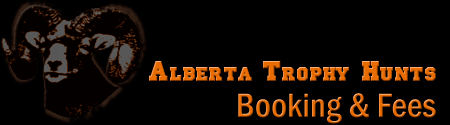 Bookings and Fees